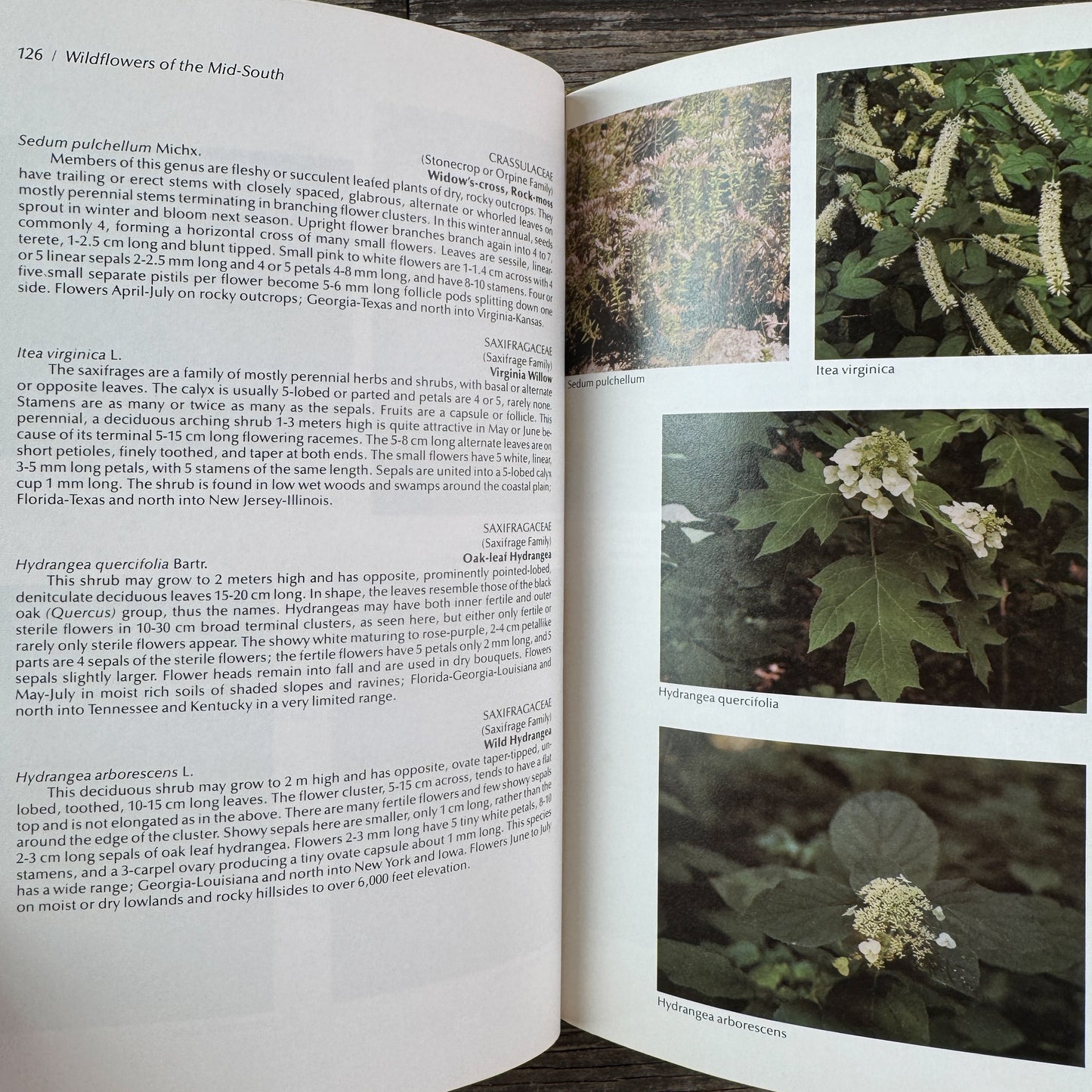 A Guide to Wildflowers of the Mid-South, 1979