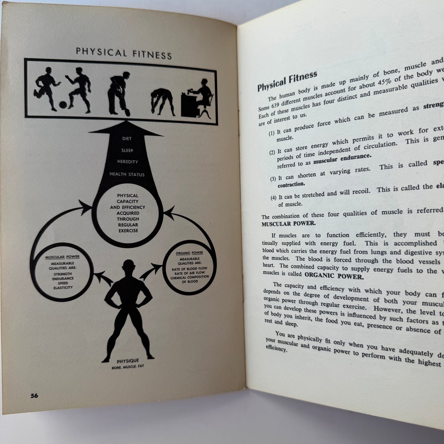 Royal Canadian Air Force Exercise Plans, 1962, Vintage Flight Attendant Exercise Plans