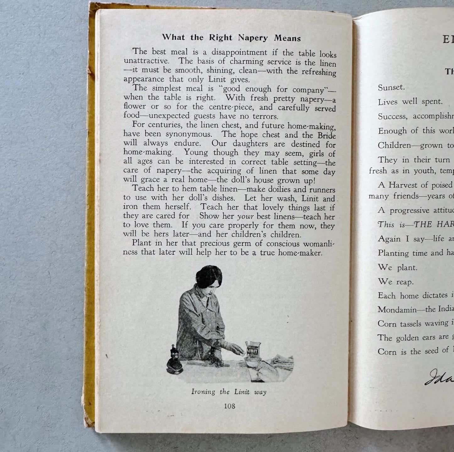 The Modern Method of Preparing Delightful Foods, Ida Bailey Allen, 1927