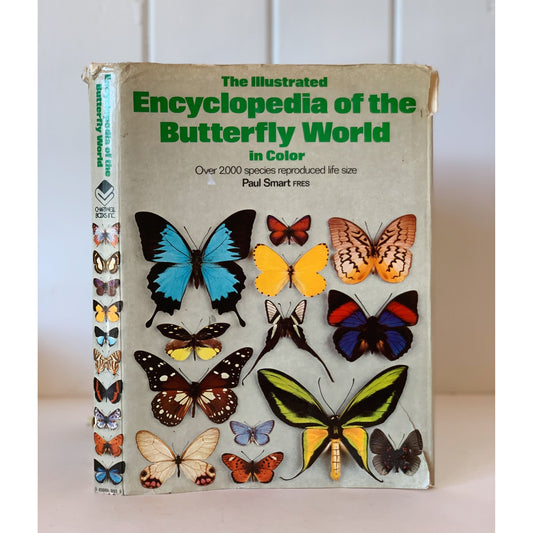 The Illustrated Encyclopedia of the Butterfly World, 1975 Oversized Book