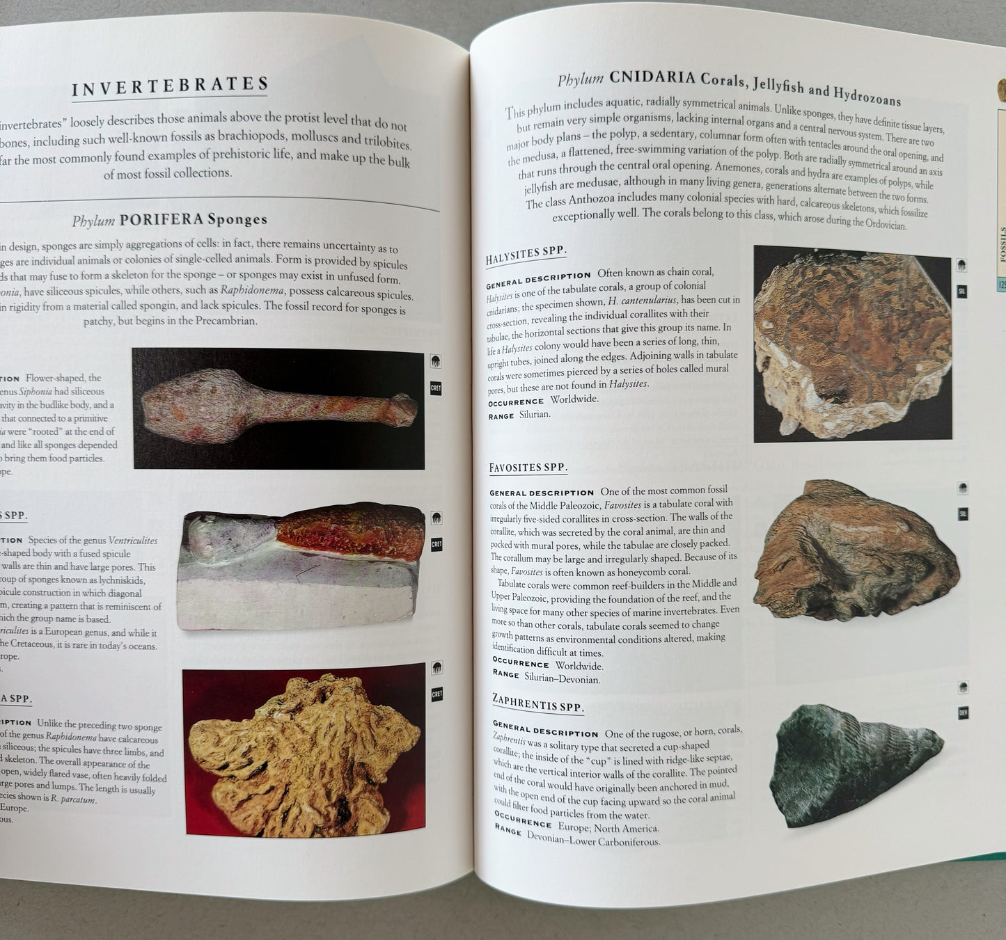 Rocks, Minerals, Gems, Crystals, Fossils - The Complete Collector's Companion, 1995 Hardcover