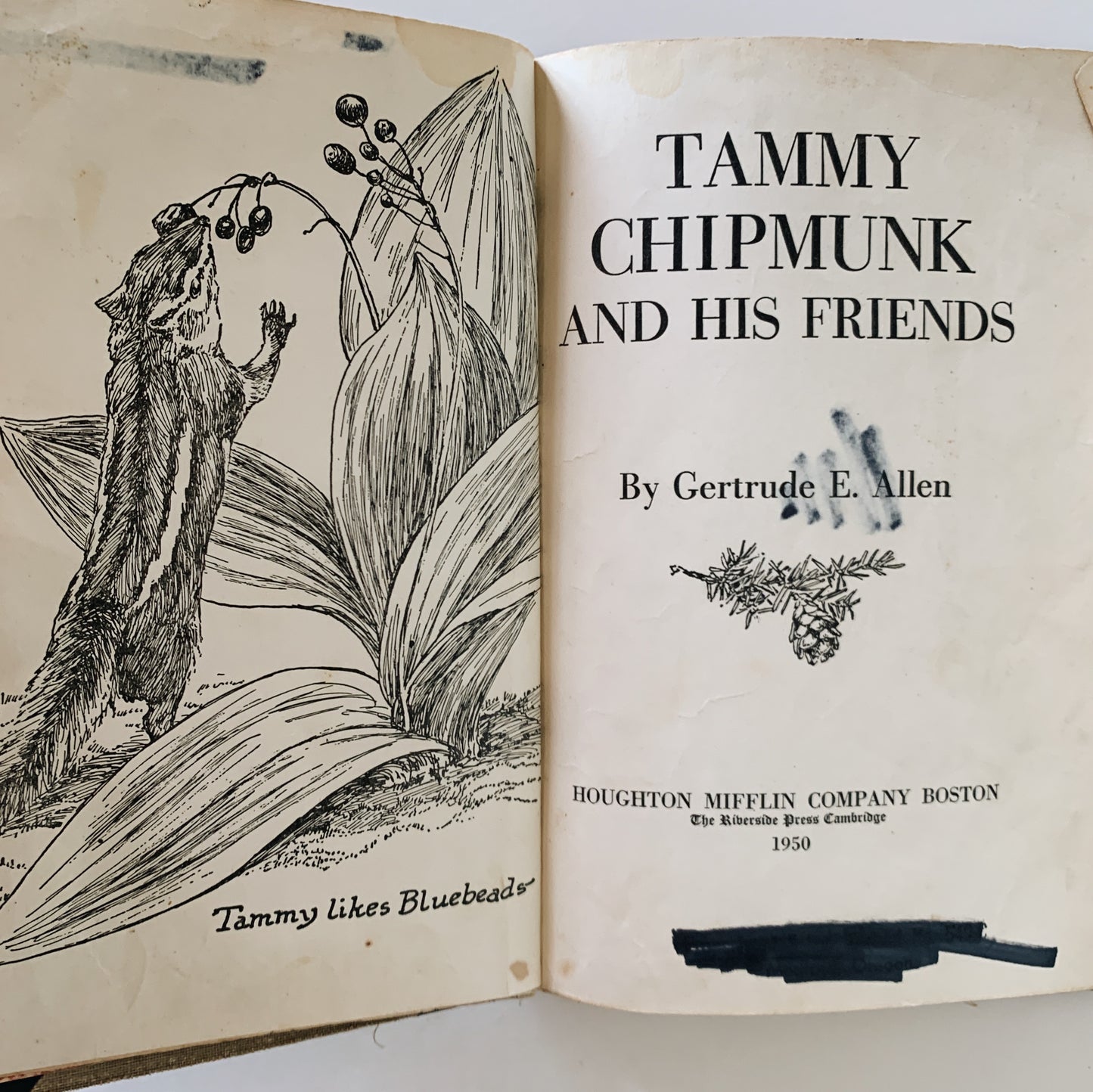 Tammy Chipmunk and His Friends, 1950, Hardcover Animal Story