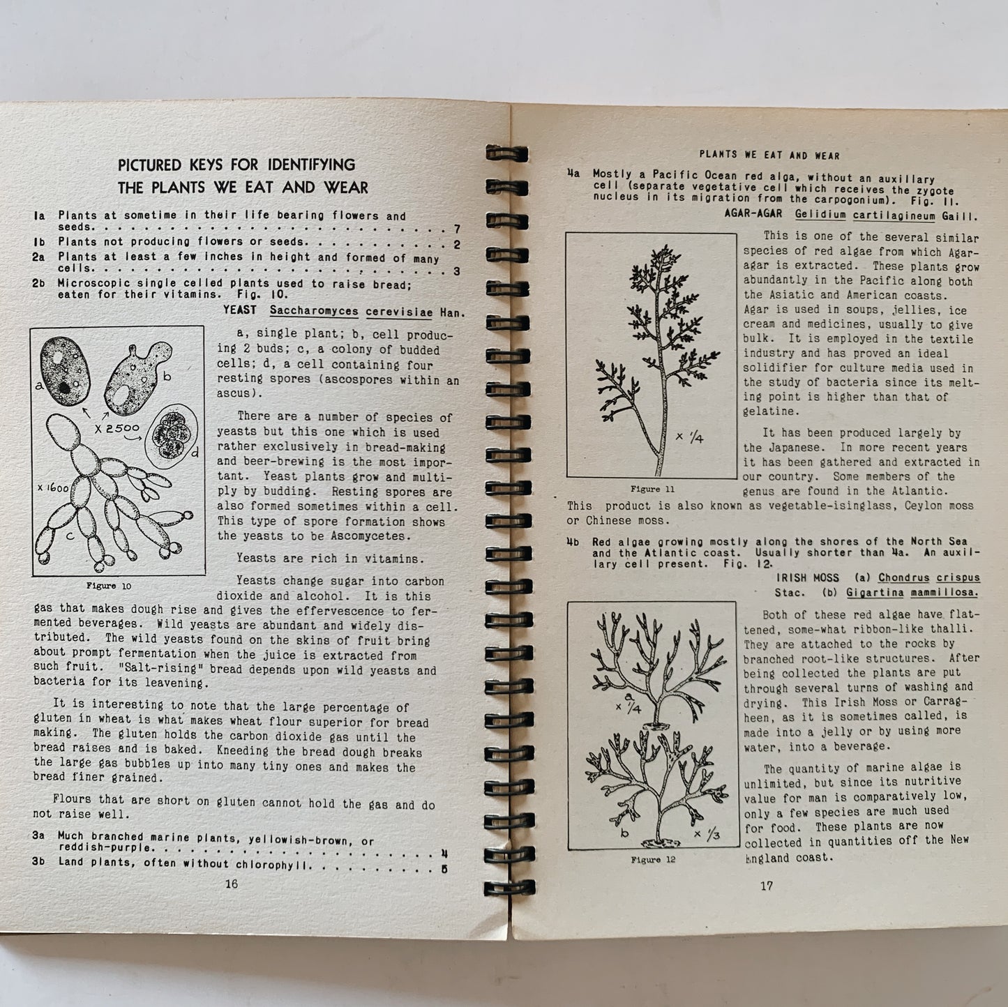 Plants We Eat and Wear, 1943 Spiral Book