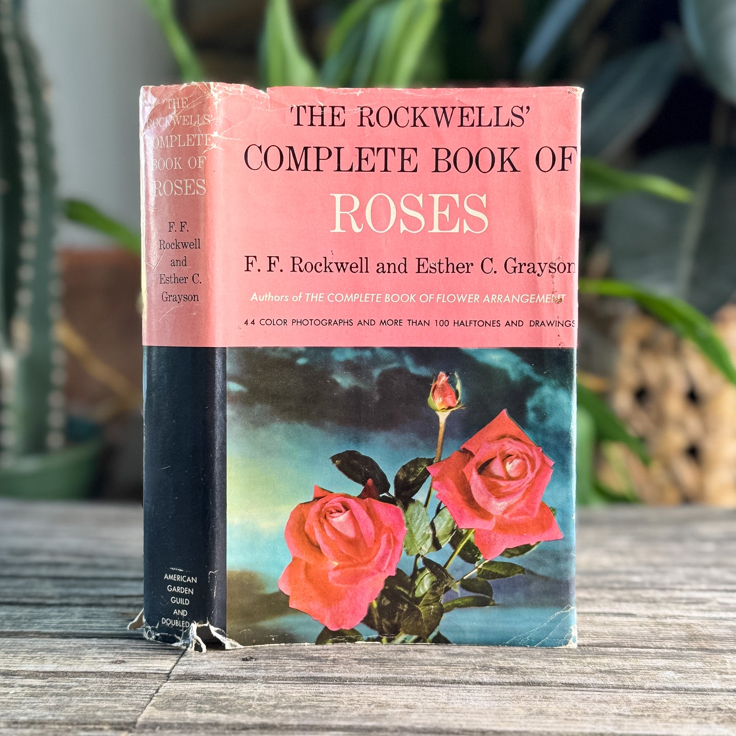 The Rockwells' Complete Book of Roses, F. F. Rockwell and Esther C. Grayson, 1958