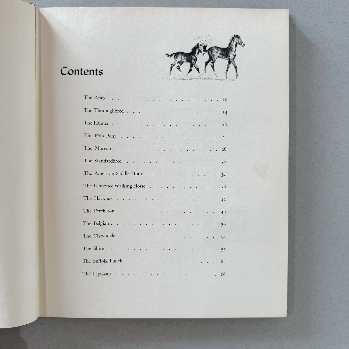 Album of Horses, Marguerite Henry, 1960, Illustrated Children's Guide to Horses