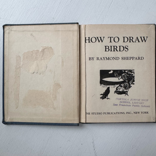 How To Draw Birds, Raymond Sheppard, 1943 Art Guide