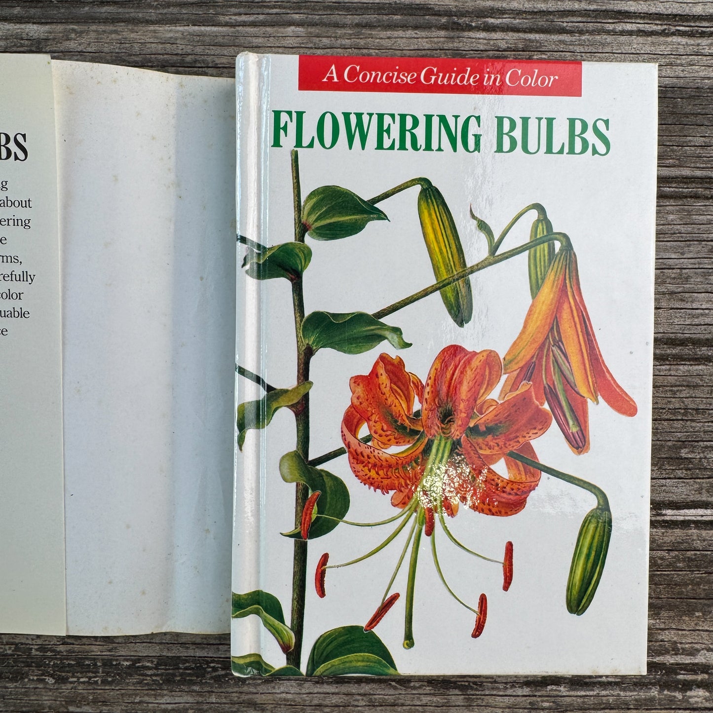 A Concise Guide in Color: Flowering Bulbs, Eva Petrova, 1989