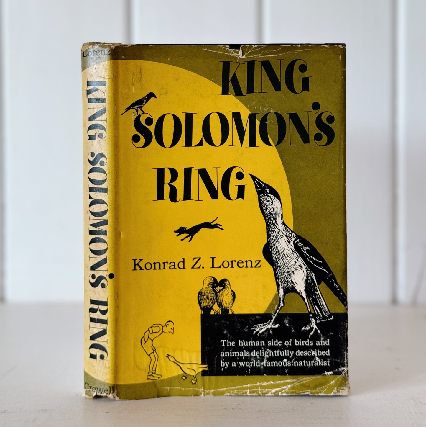 King Solomon's Ring, Illustrated Naturalist Book, 1952 First Edition