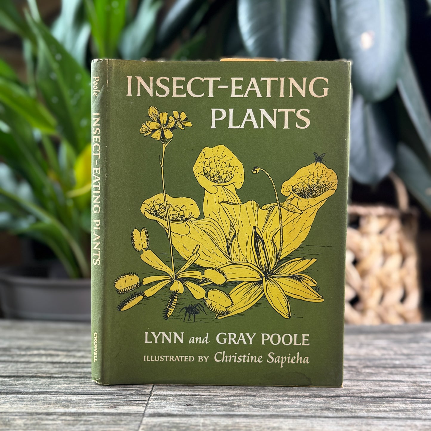 Insect-Eating Plants, Lynn and Gray Poole, 1963