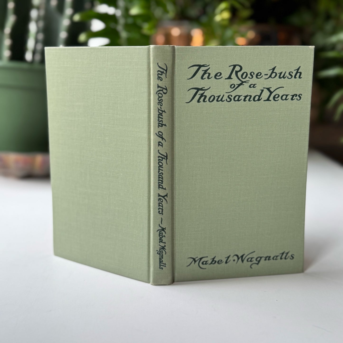 The Rose Bush of a Thousand Years, Mabel Wagnalls, 1918 Hardcover