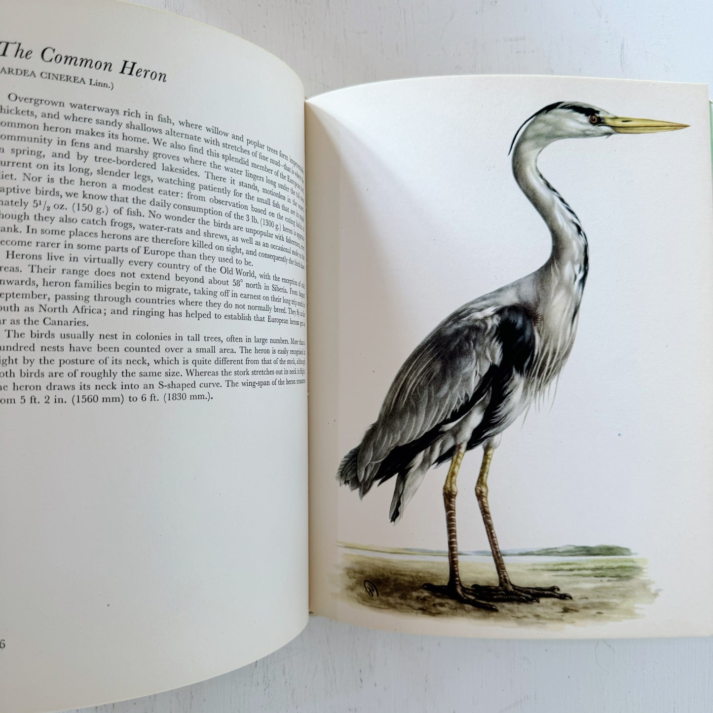 Birds of Heath and Marshland, 56 Plates in Colour, 1962