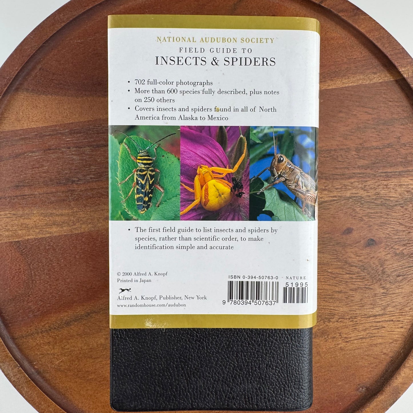 National Audubon Society Field Guide to Insects and Spiders, Good Condition Nature Study Guide
