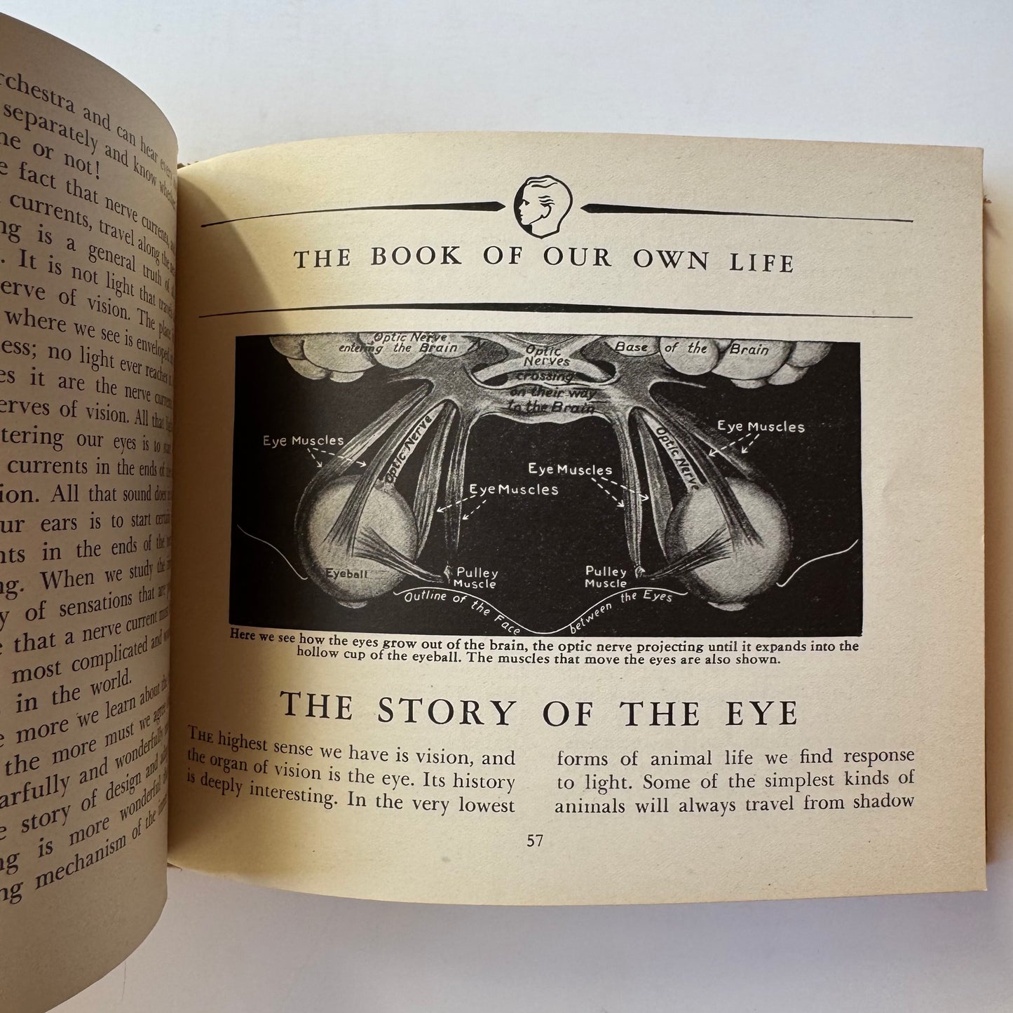 The Book of Our Own Life, The Book of Knowledge Little Reference Series, Anatomy 1940