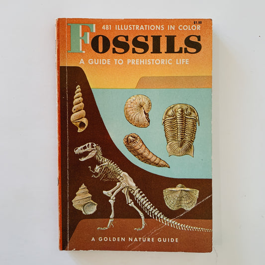 Fossils A Golden Guide Paperback 1962