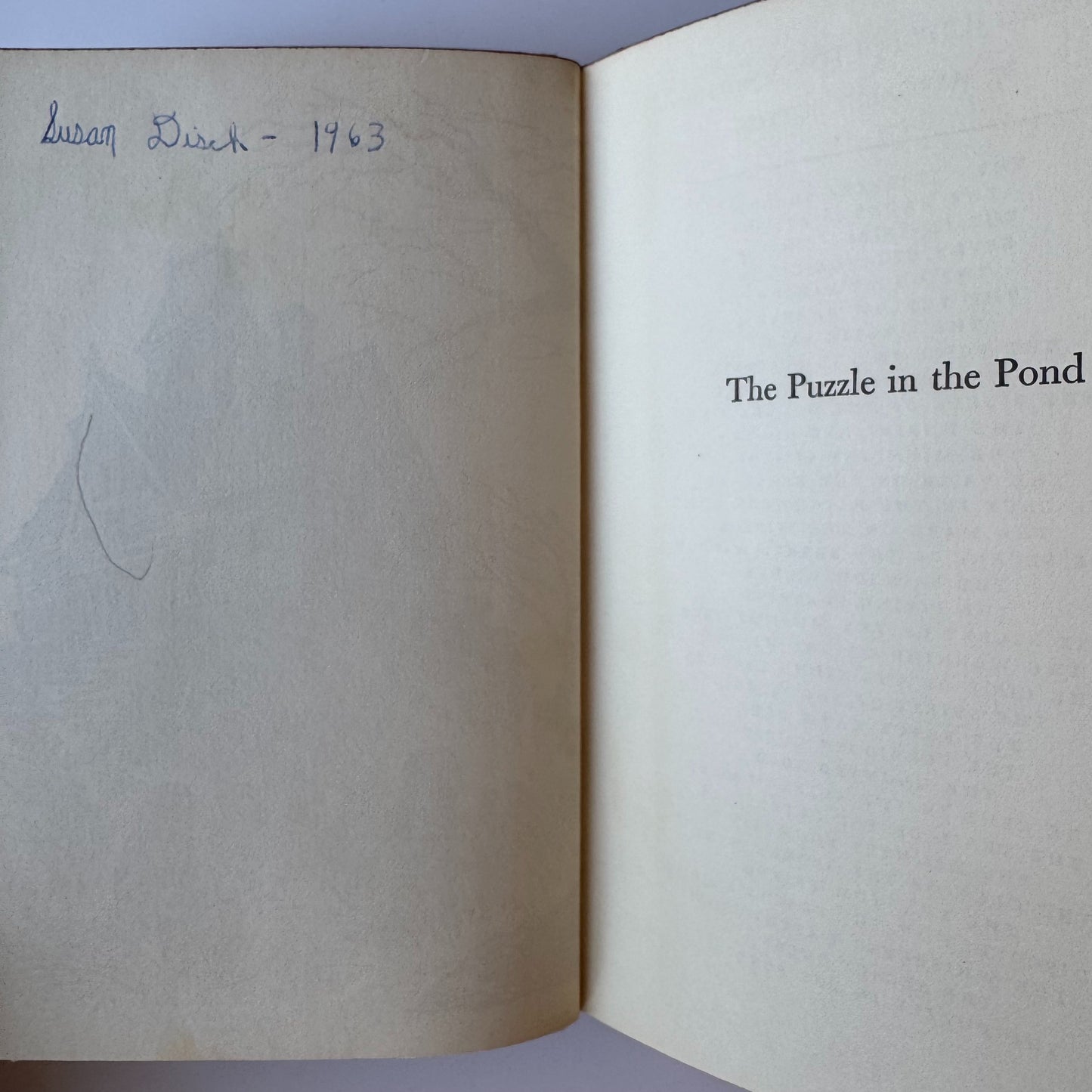 The Puzzle In The Pond, A Judy Bolton Mystery, Margaret Sutton, Hardcover 1963