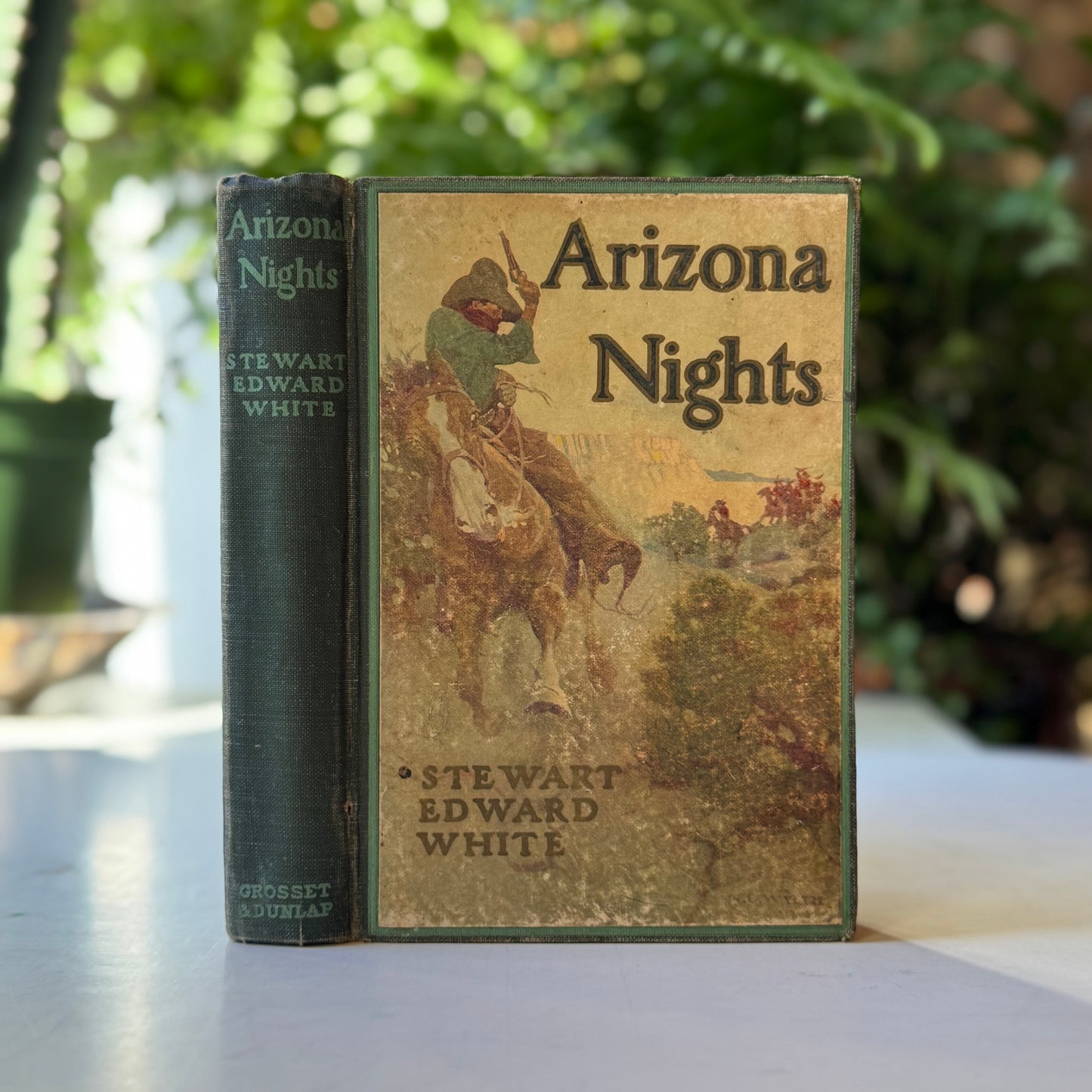 Arizona Nights, Stewart Edward White, N.C. Wyeth Illustrations, 1917 Hardcover