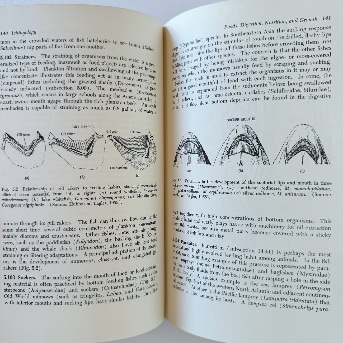 Ichthyology, Fish Zoology Vintage Mid-Century 1963 School Book (Copy)