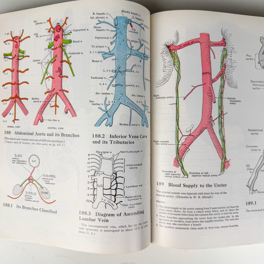 Grant's Atlas of Anatomy, 6th Edition, 1975 Illustrated Hardcover
