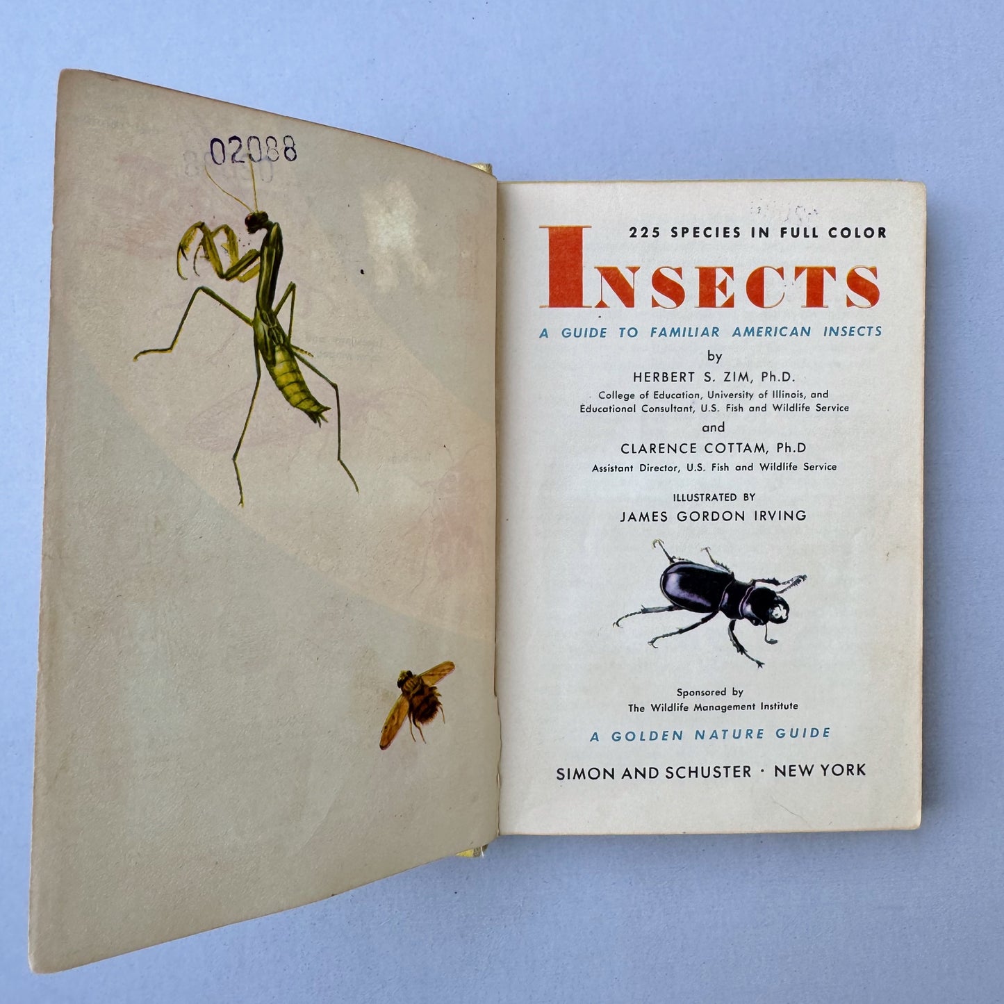 Insects A Golden Guide Hardcover, Vintage 1951