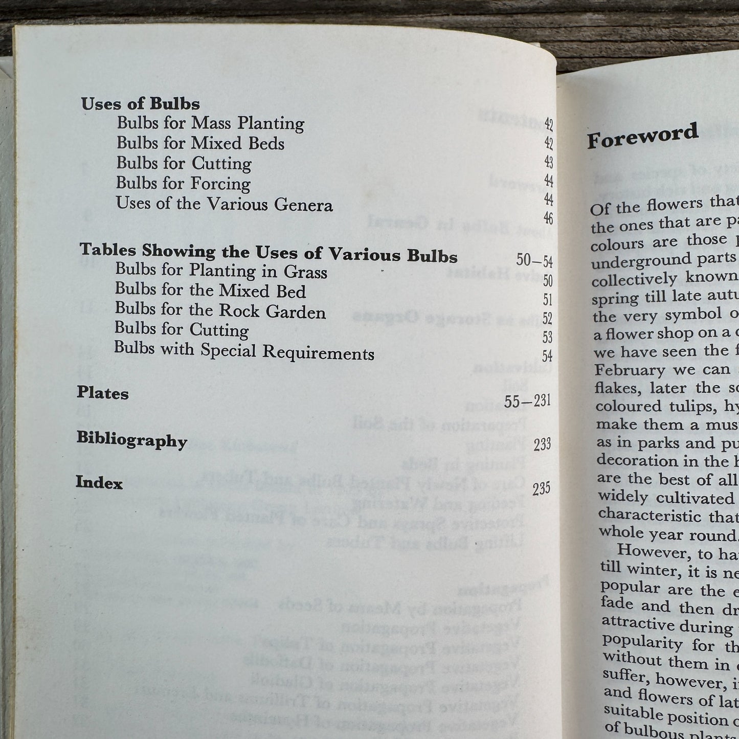 A Concise Guide in Color: Flowering Bulbs, Eva Petrova, 1989