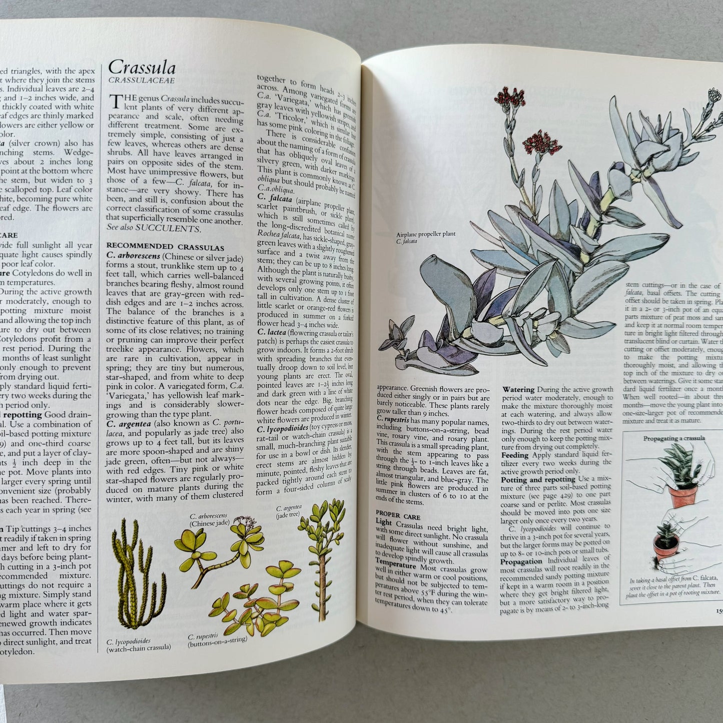 Reader's Digest Success With House Plants, Illustrated Botanical Book, 1979