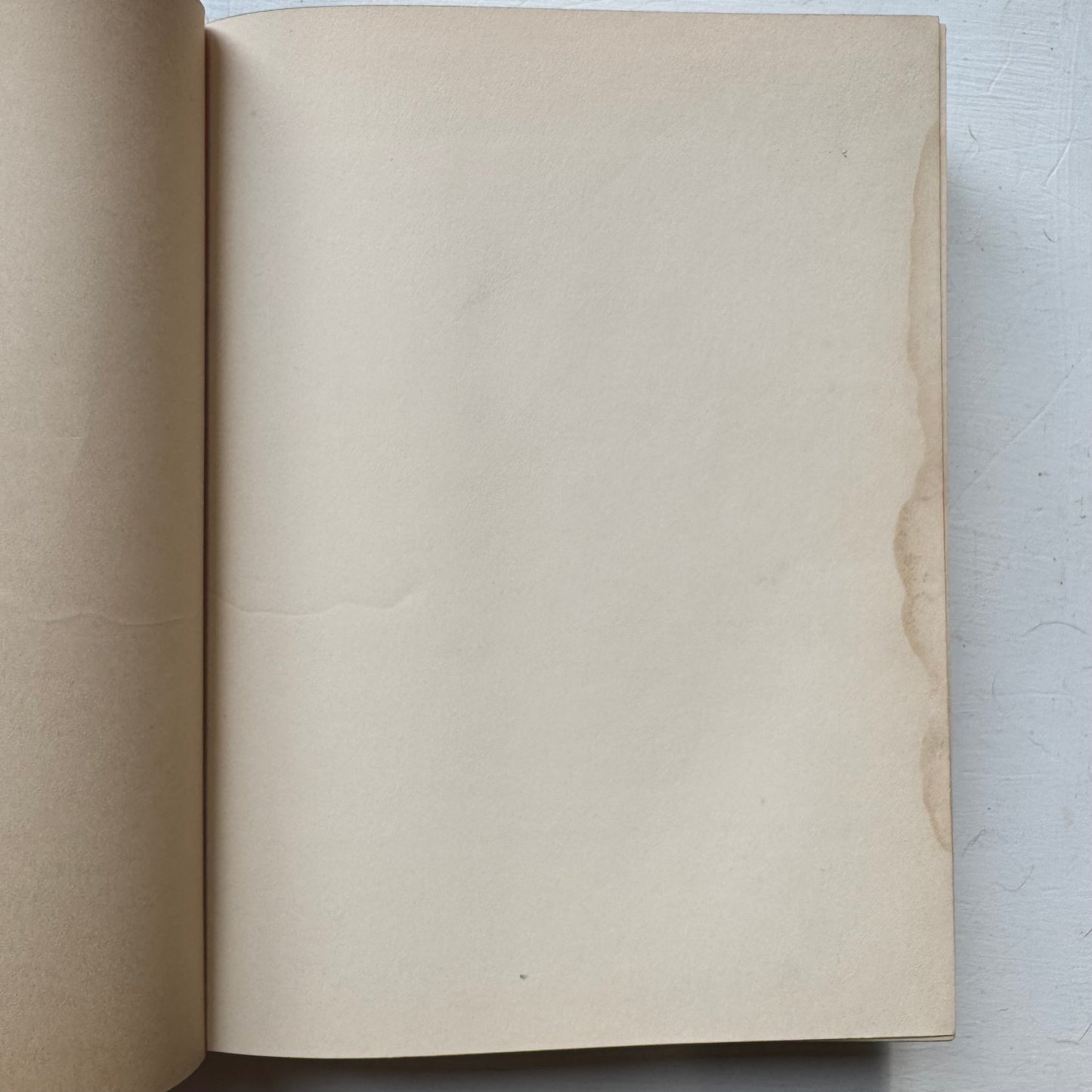 Fabre's Book of Insects, 1937 Sixth Printing, Illustrated Hardcover Nature Study