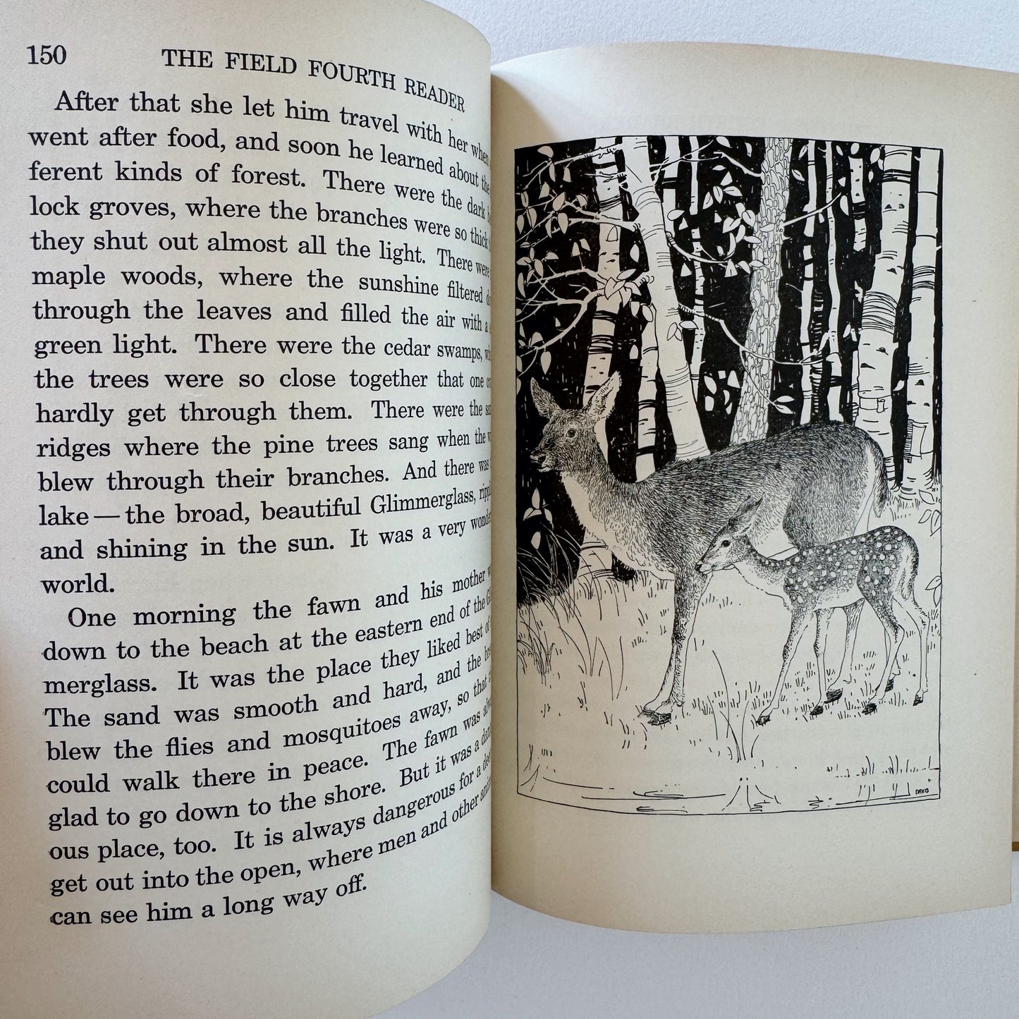 The Field Fourth Reader, 1925 Illustrated English Reader