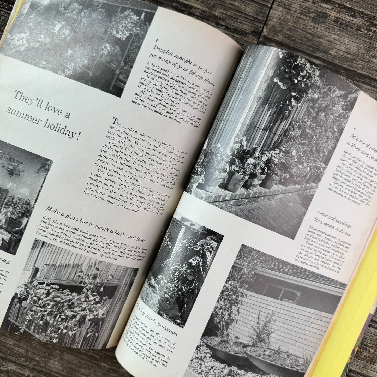 Better Homes and Gardens Houseplants, 1959