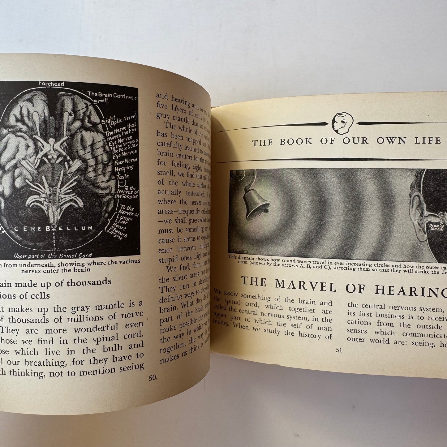 The Book of Our Own Life, The Book of Knowledge Little Reference Series, Anatomy 1940