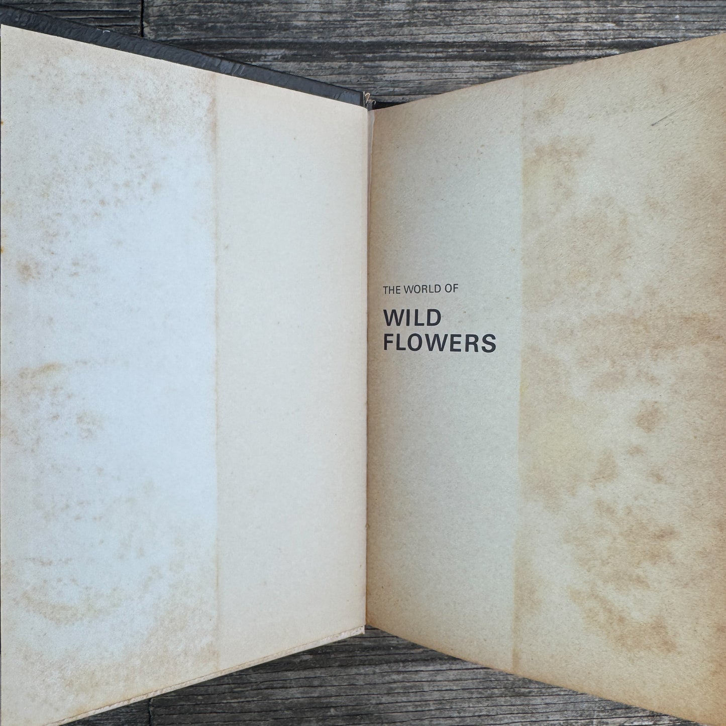 The World of Wildflowers, Botanical Illustrations, 1972