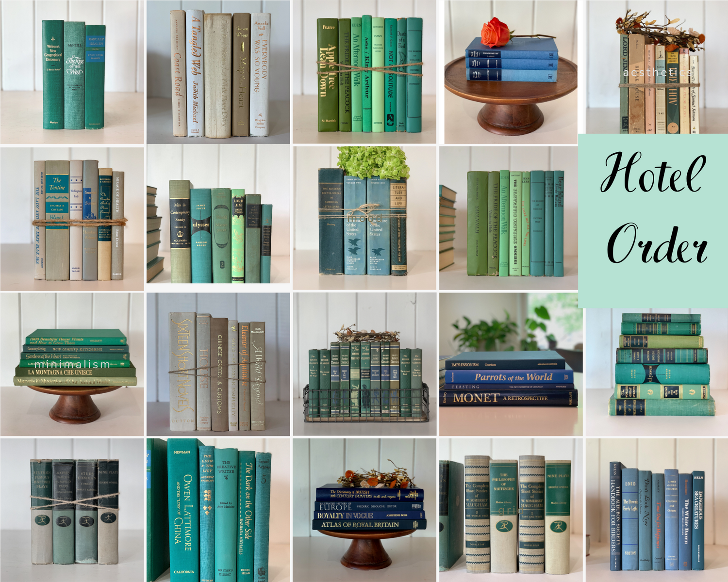 vintage books by color for hotels