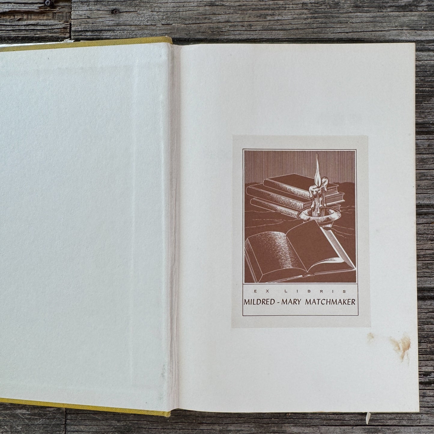 Beggar's Daughter, Mabel Leigh Hunt, 1963, First Edition