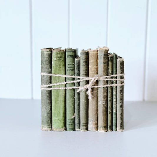 Antique Olive Green School Books for Display, Old School Book Bundle