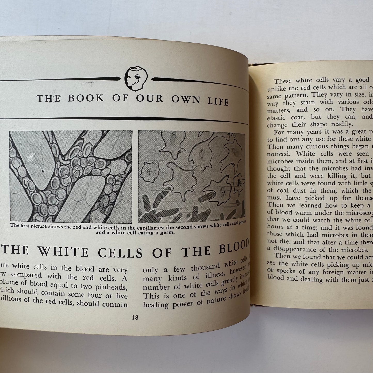 The Book of Our Own Life, The Book of Knowledge Little Reference Series, Anatomy 1940