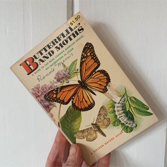 Butterflies and Moths, A Golden Nature Guide, 1964