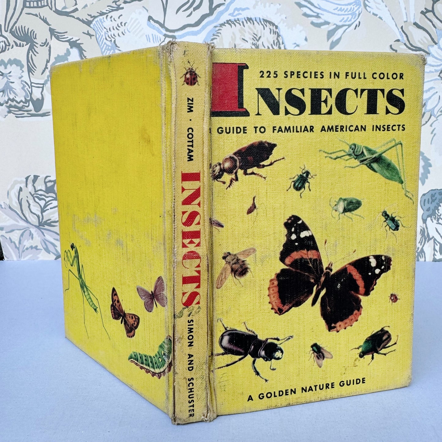 Insects A Golden Guide Hardcover, Vintage 1951