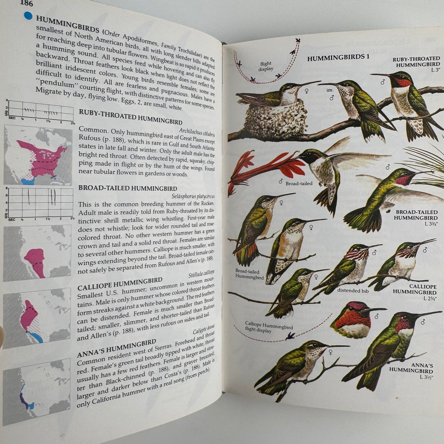 Birds of North America A Golden Guide to Field Identification HARDCOVER Blue 1983