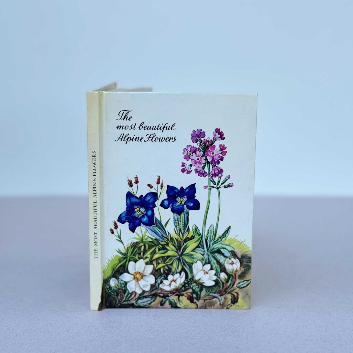 The Most Beautiful Alpine Flowers, Watercolor Botanical Book, Alpine Book Series