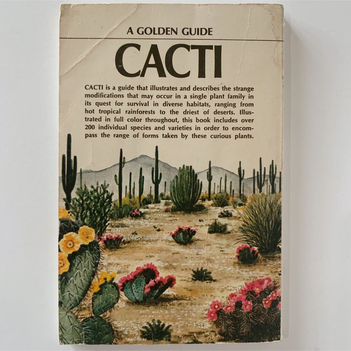 Cacti: A Golden Guide 1974