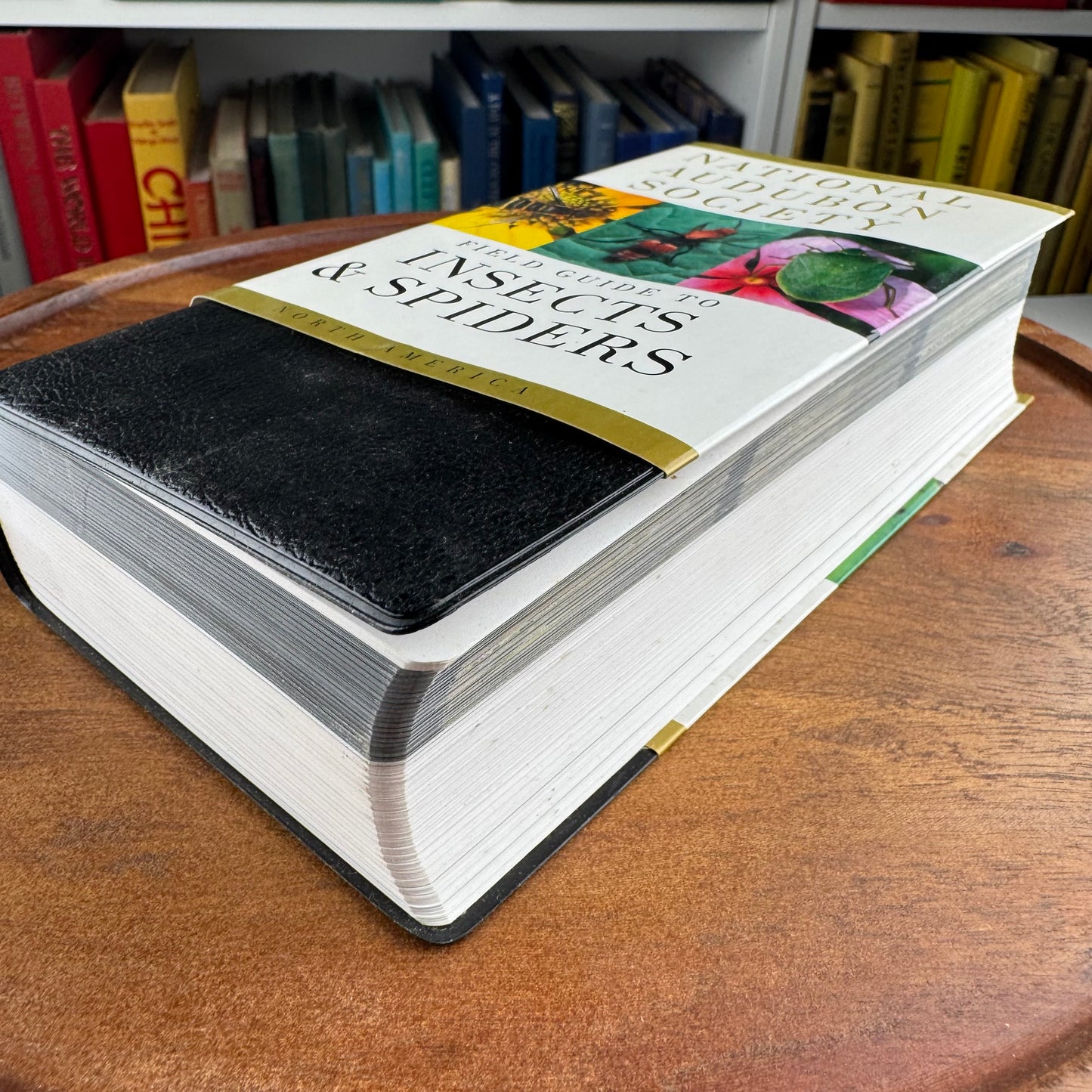 National Audubon Society Field Guide to Insects and Spiders, Good Condition Nature Study Guide