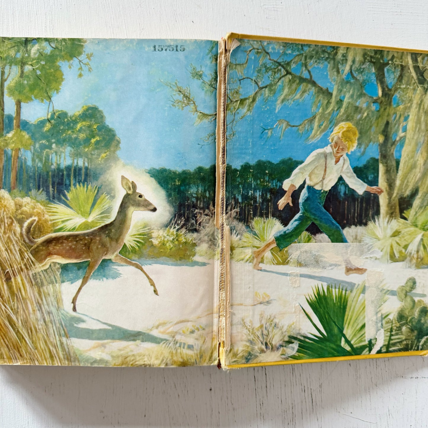 The Yearling, Marjorie Kinna Rawlings, 1961 Illustrated