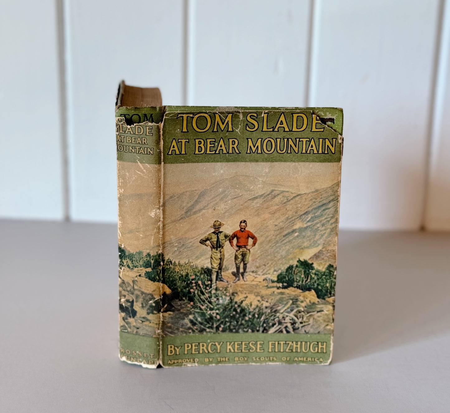 Tom Slade at Bear Mountain, Percy Keese Fitzhugh, Boy Scout Book, 1925