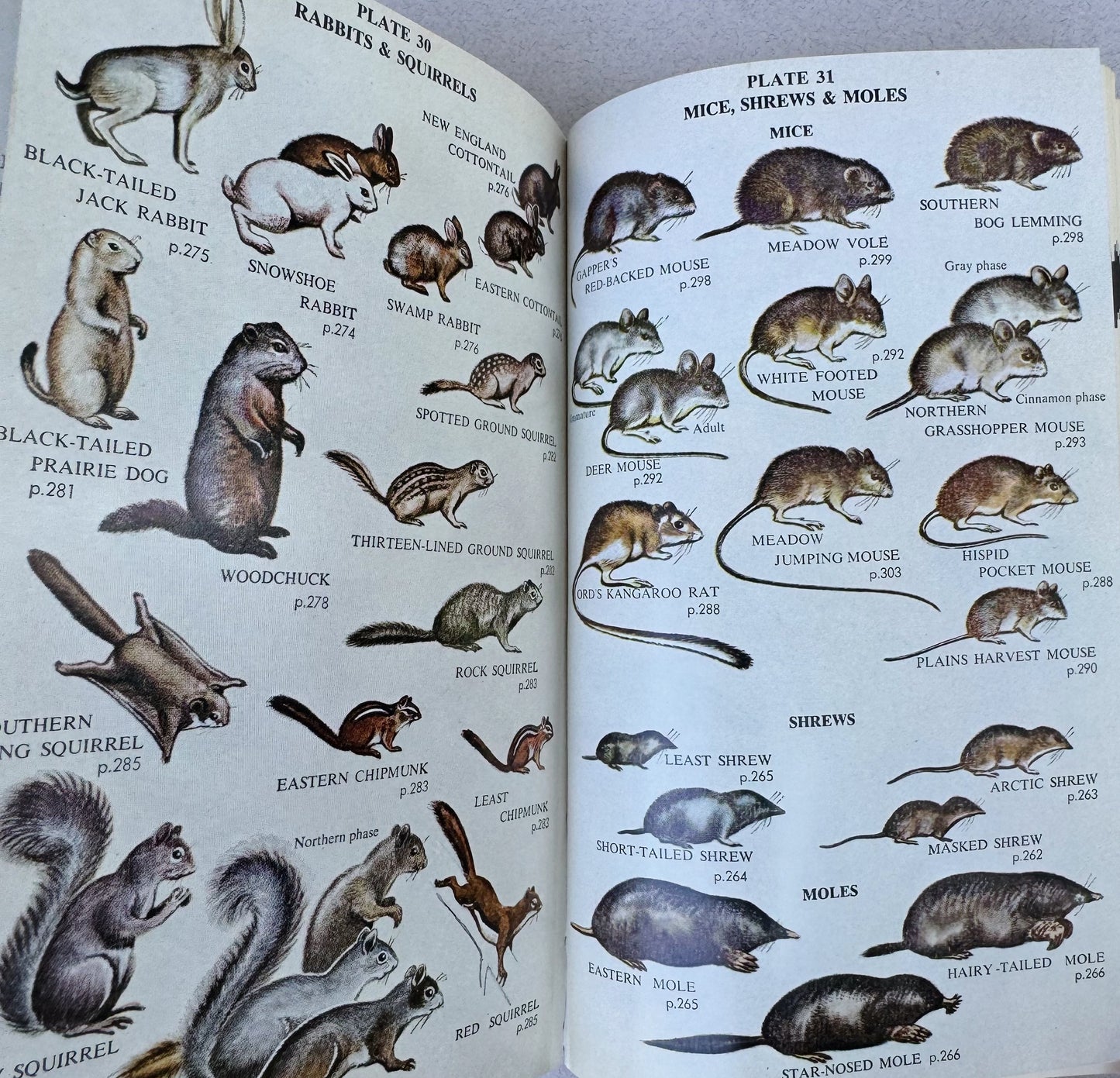 Complete Field Guide to American Wildlife, 1959, Henry Hill Collins, Jr