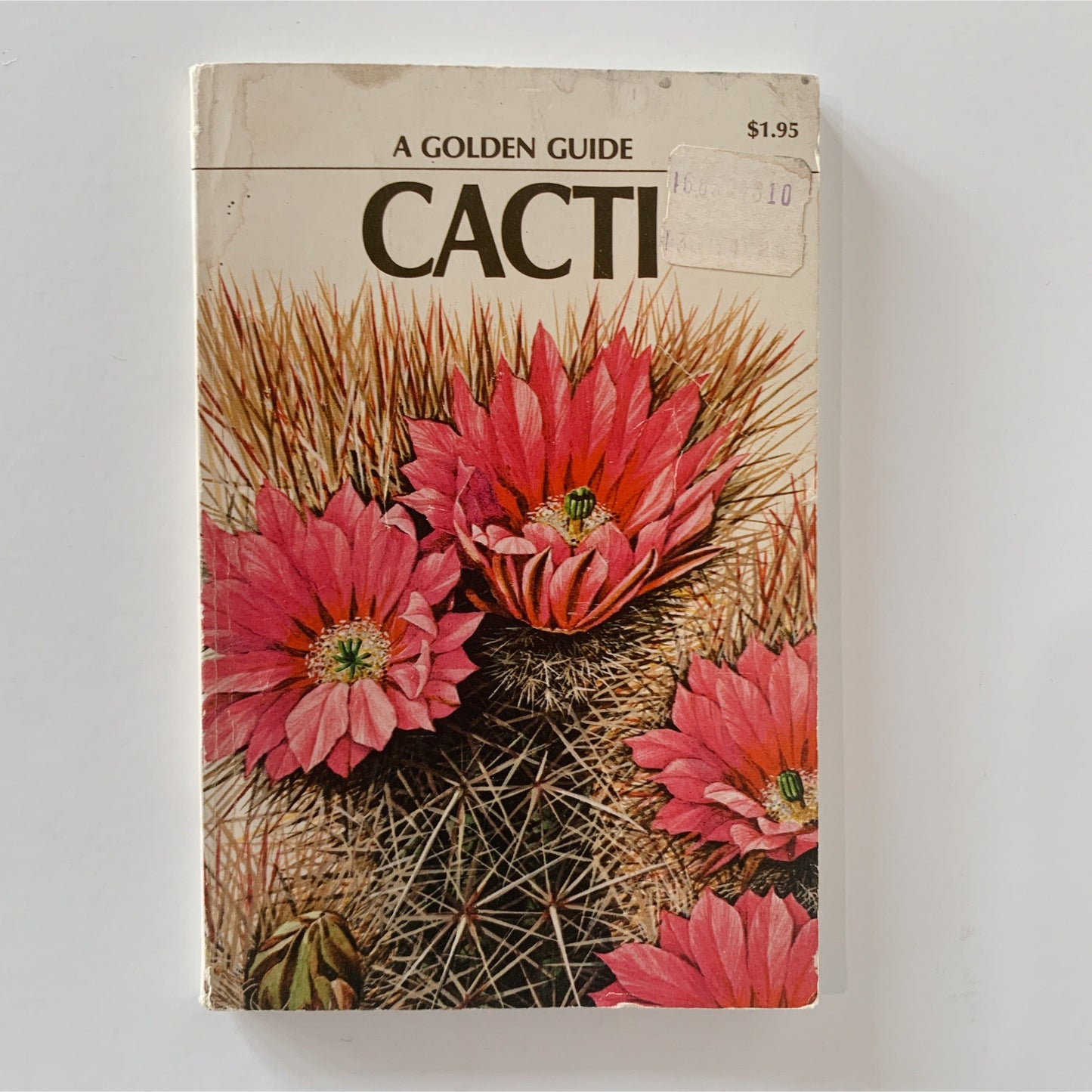 Cacti: A Golden Guide 1974