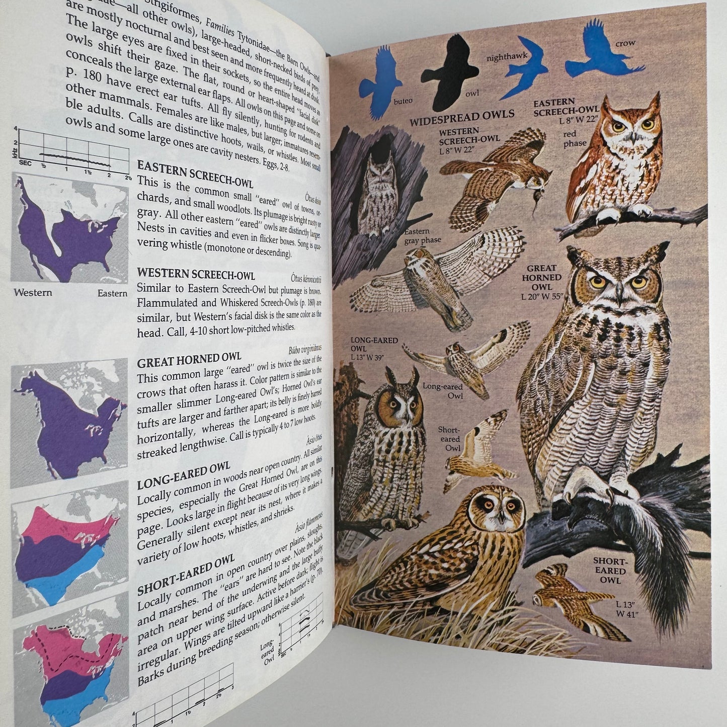 Birds of North America A Golden Guide to Field Identification HARDCOVER Blue 1983