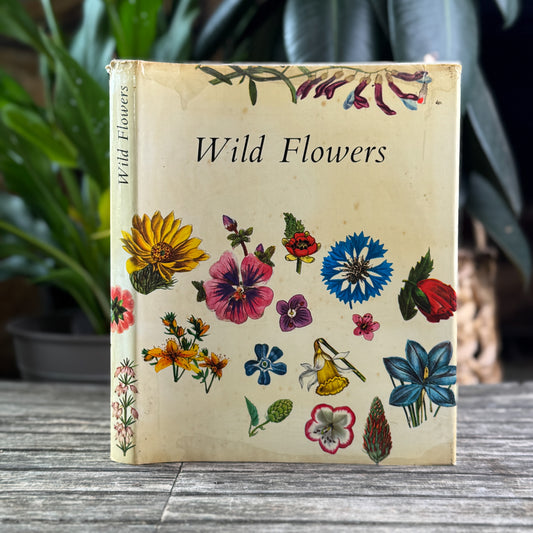 Wildflowers, Color Botanical Illustrations, 1973