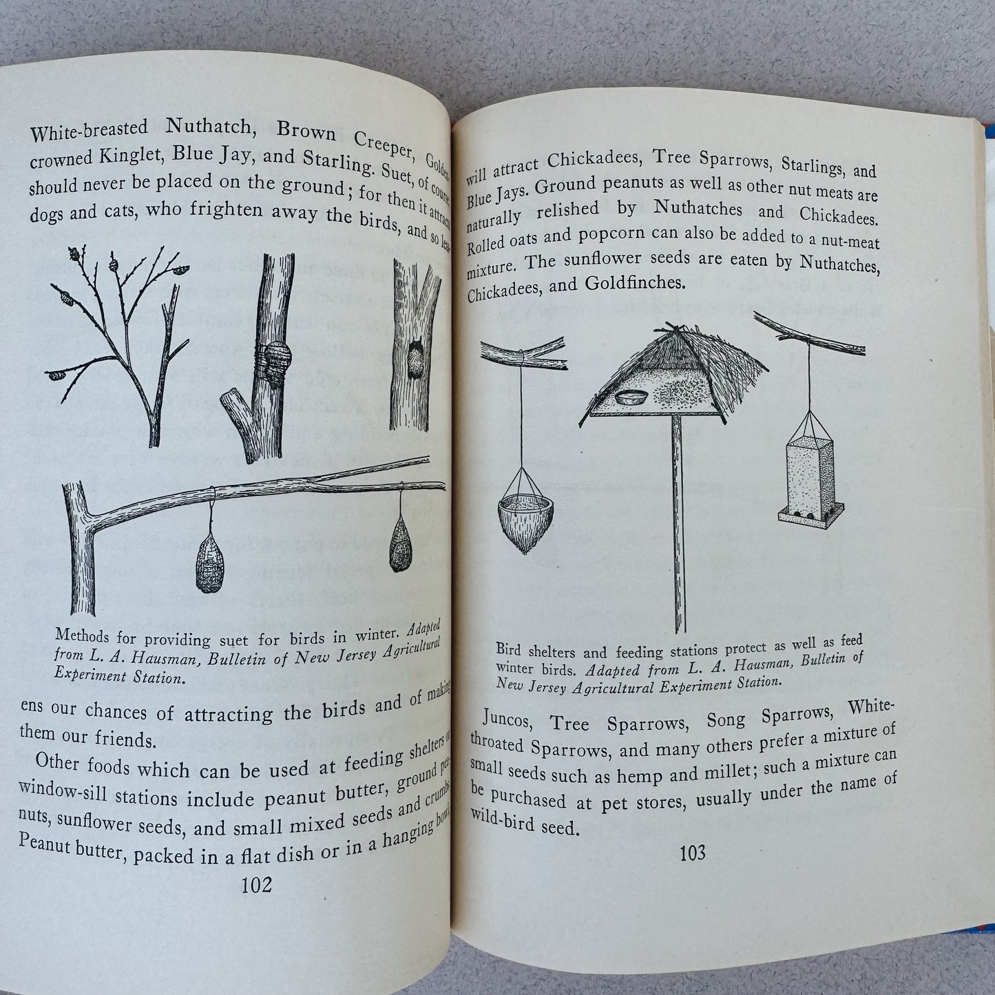 Out of Doors in Winter, C.J. Hylander, 1950, Children's Nature Study Book