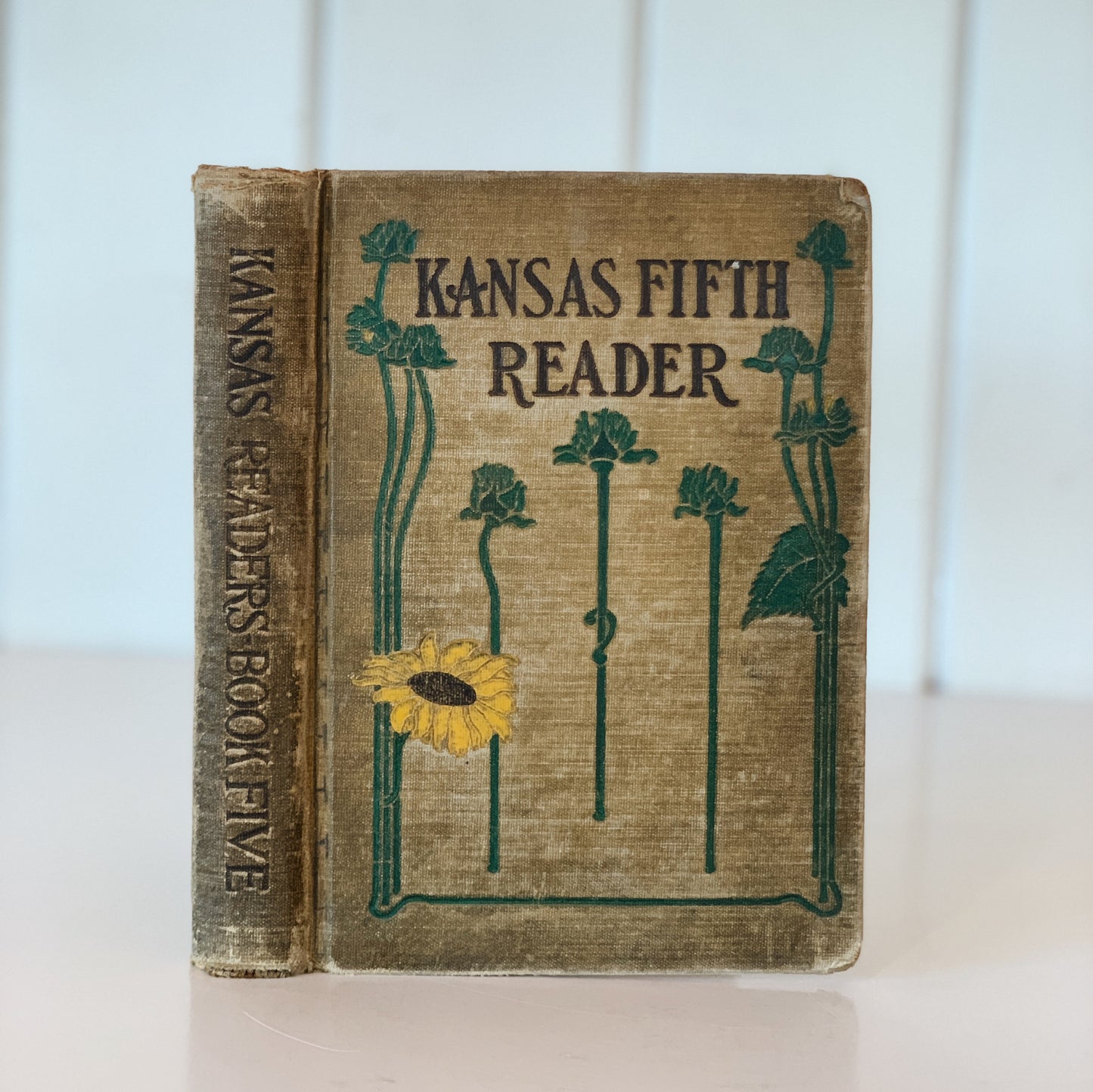Kansas Fifth Reader, 1919, School Book