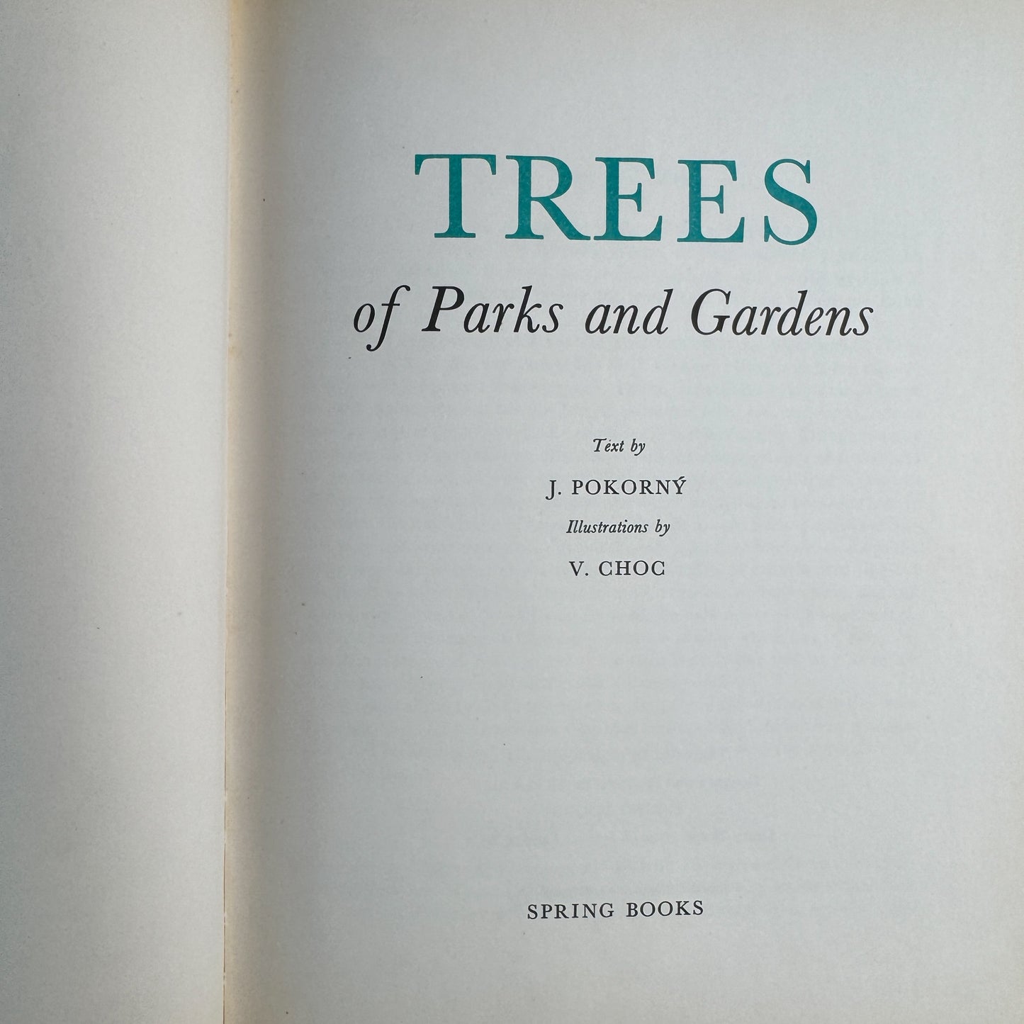 Trees of Parks and Gardens, J. Pokorny, Botanical Art, 1967