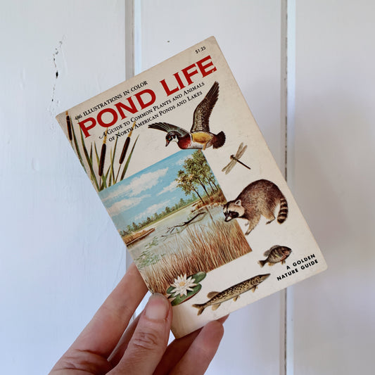 Pond Life A Golden Guide Paperback 1967